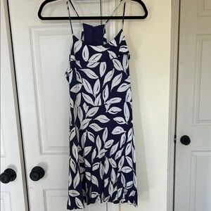 Anne Taylor loft dress